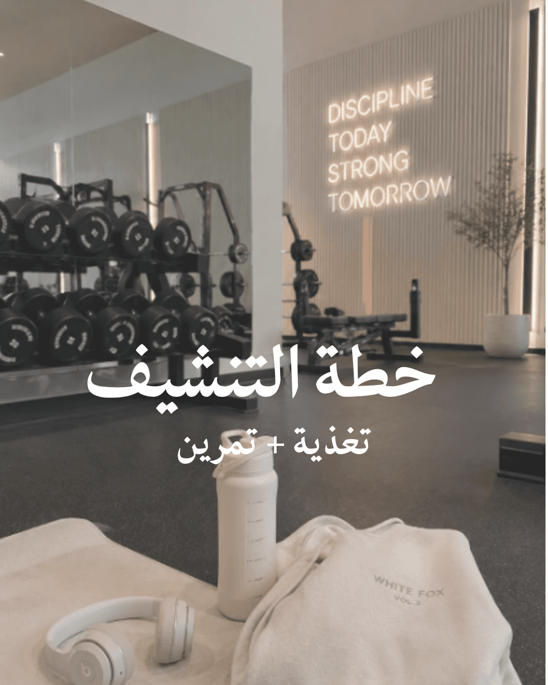 خطة التنشيف