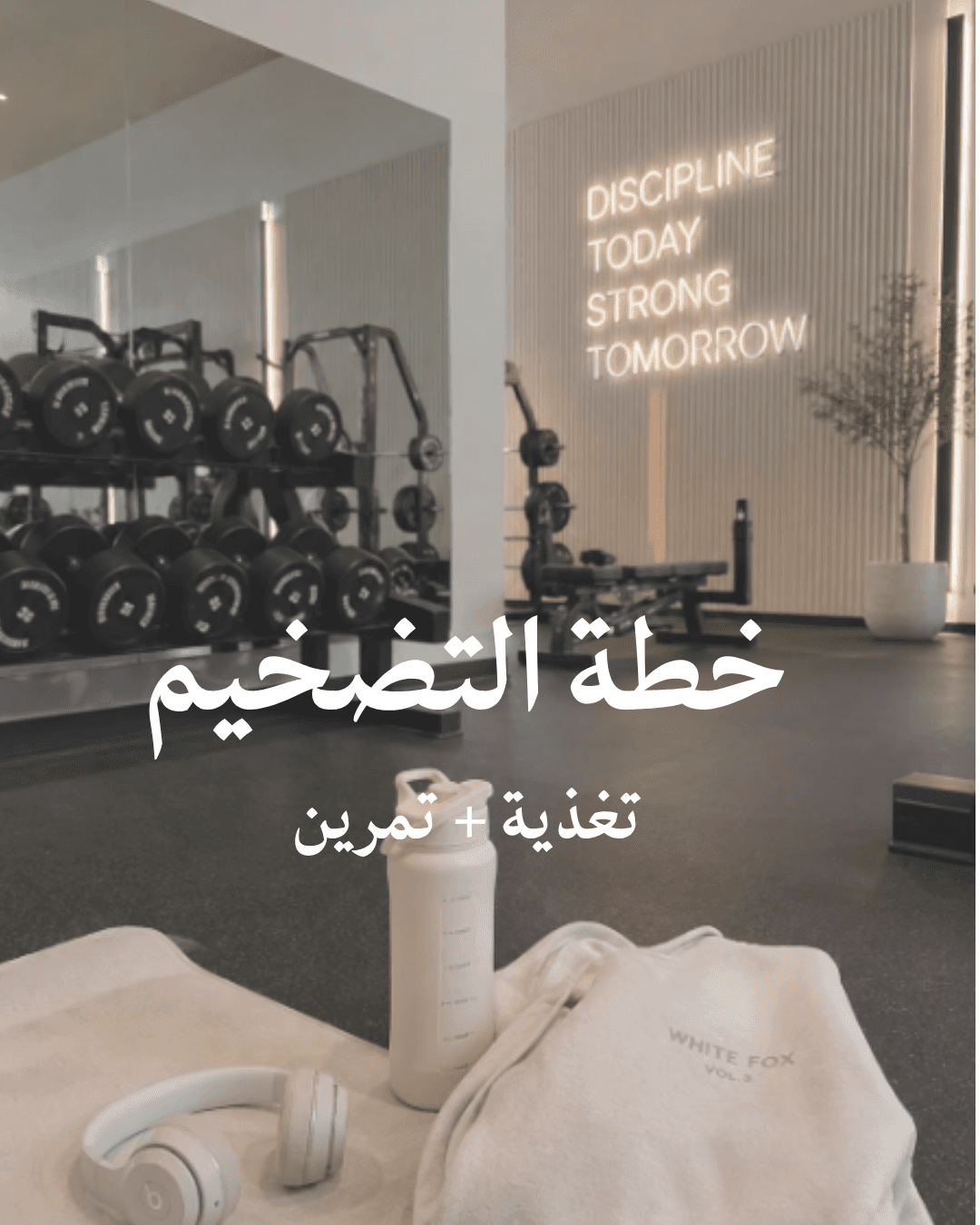 خطة التضخيم