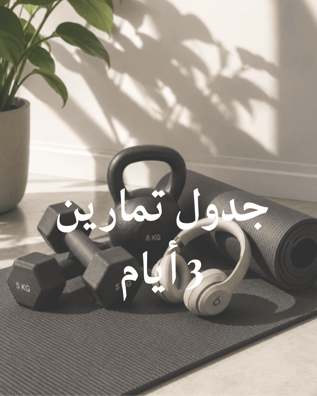 خطة تمارين 3 أيام